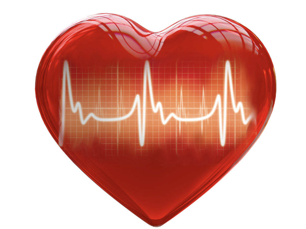 Como está a saúde do seu coração? Doenças cardiovasculares são as principais causas de morte no mundo