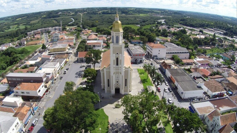 araucária.001