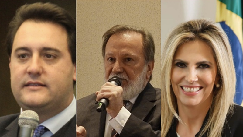 pesquisas e cida.001
