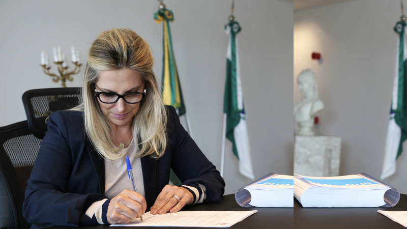 cida borghetti home.001