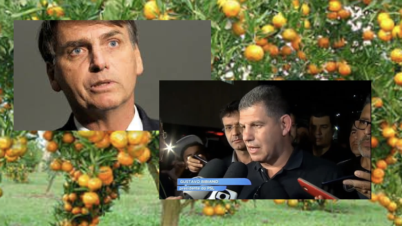 Está bichando o laranjal do PSL. Bolsonaro quer que a PF 