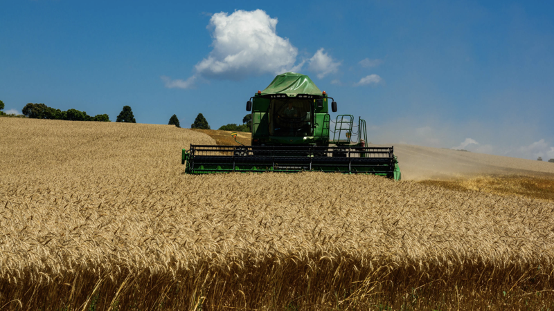 AGRICULTURA.001