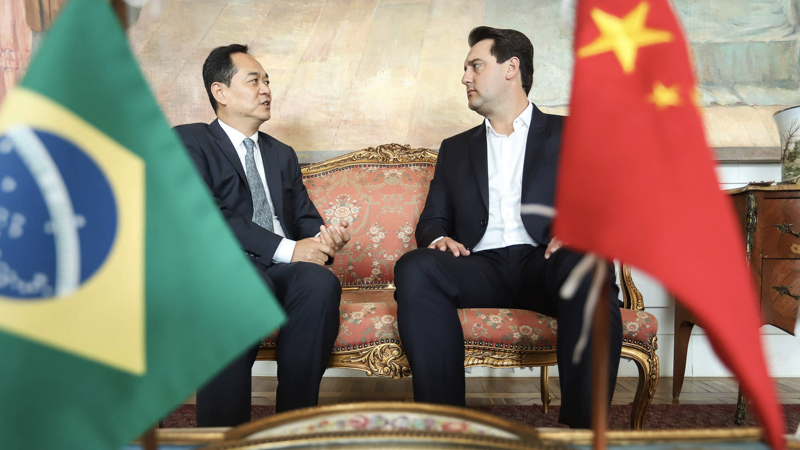 ratinho e china.001