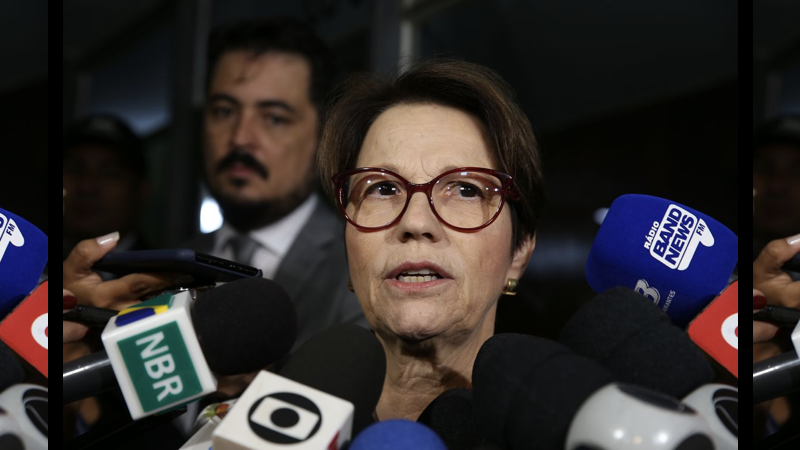 tereza cristina.001
