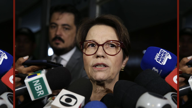 tereza cristina.001