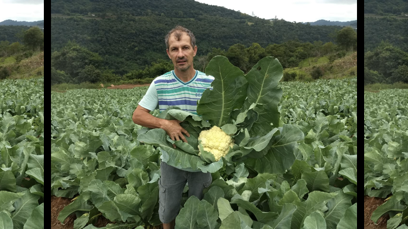 HORTIFRU.001