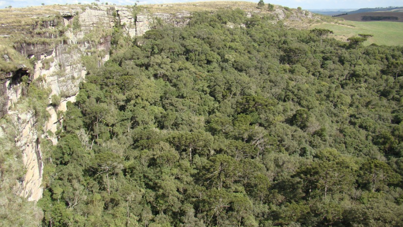 parque nacional.001