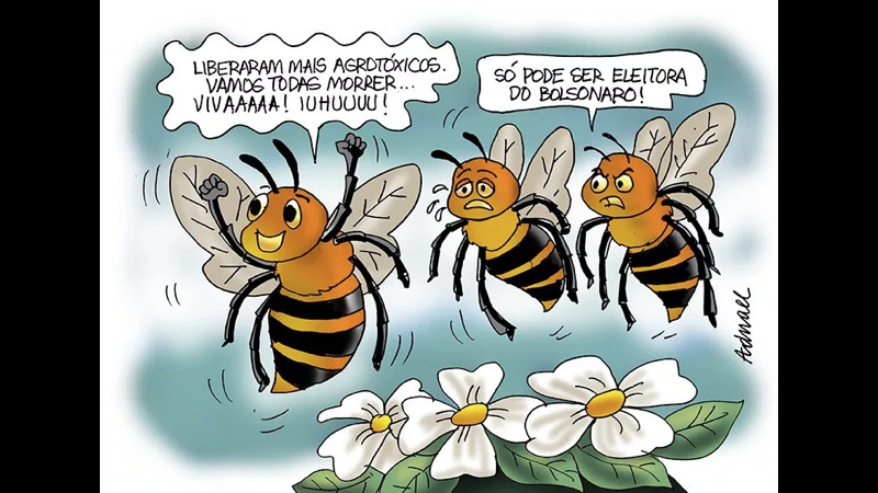 abelhas.001