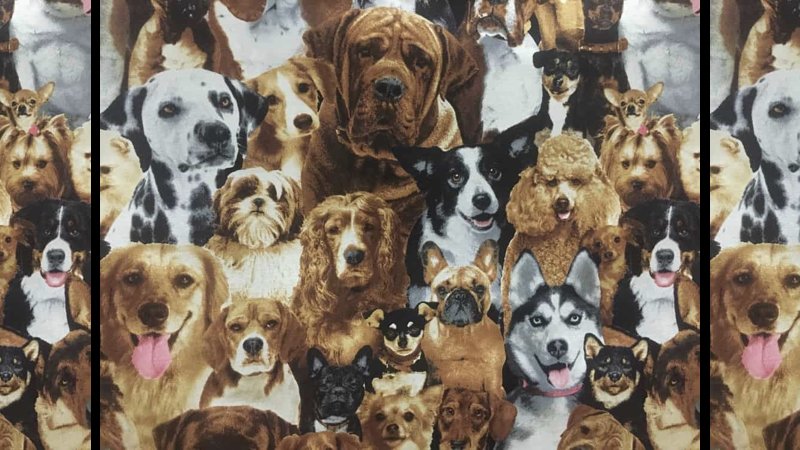 cachorrada.001