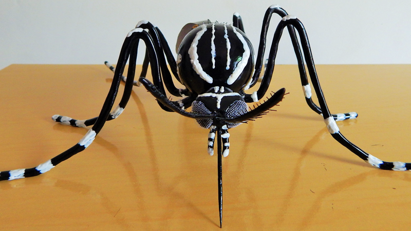 mosquito.001