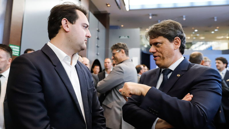 ratinho e estradas.001