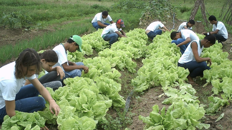 escola agricola.001