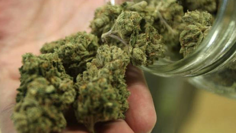 maconha.001