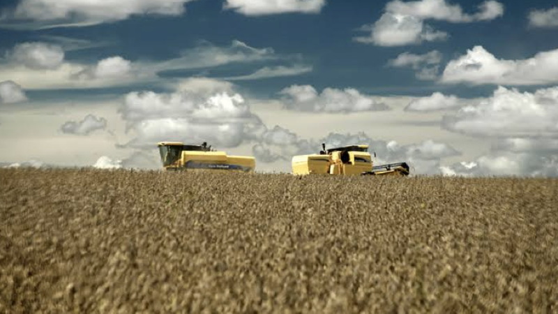 agro.001