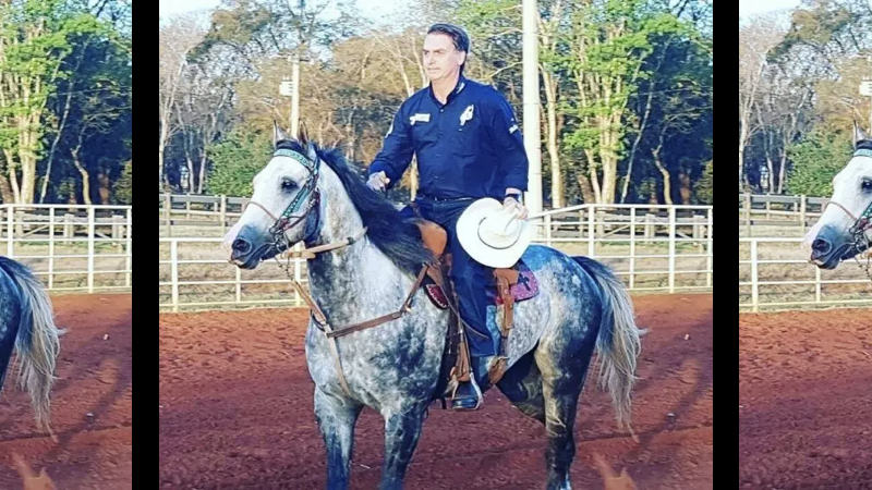 cavalo.001