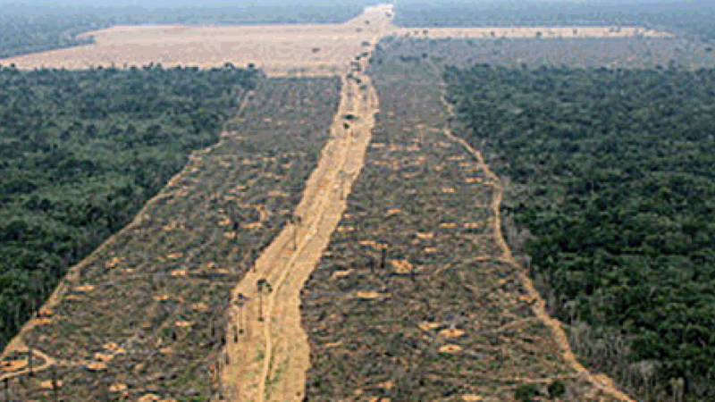 queimada.001