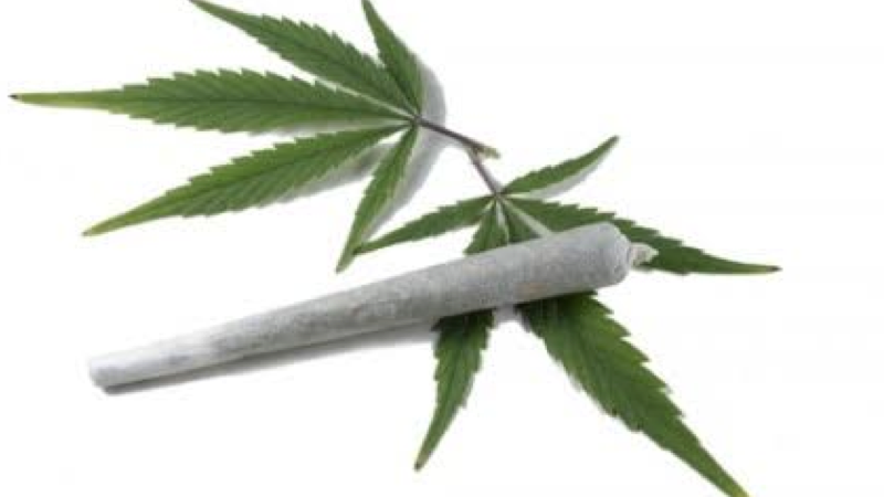 maconha.001