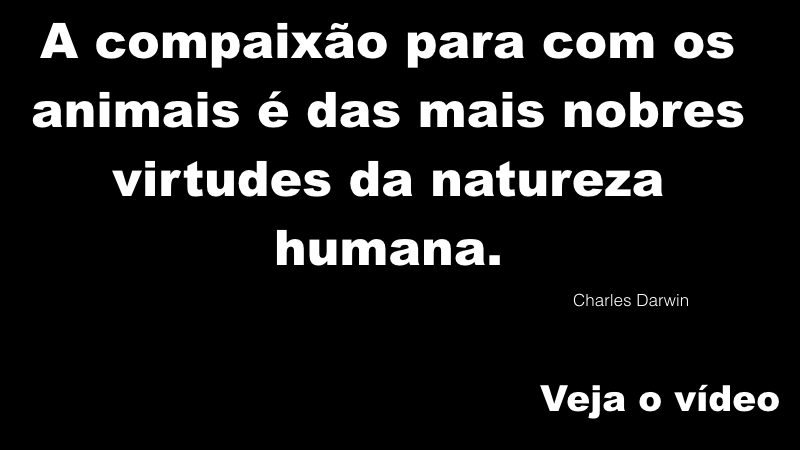 vídeo.001