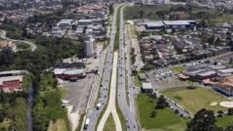 linha verde.001