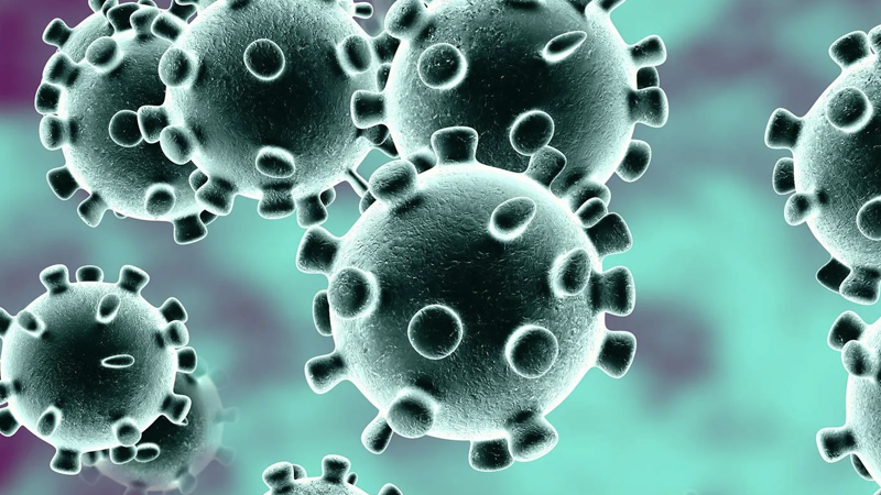CORONAVIRUS.001