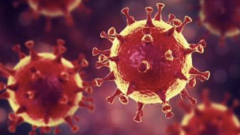 coronavirus.001