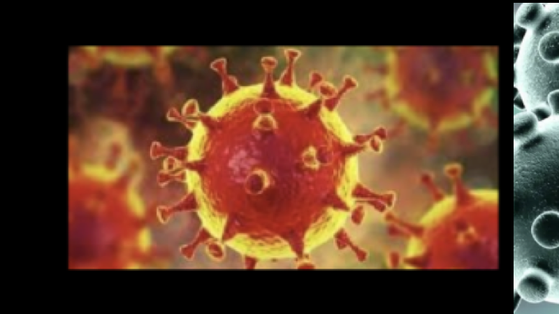virus.001