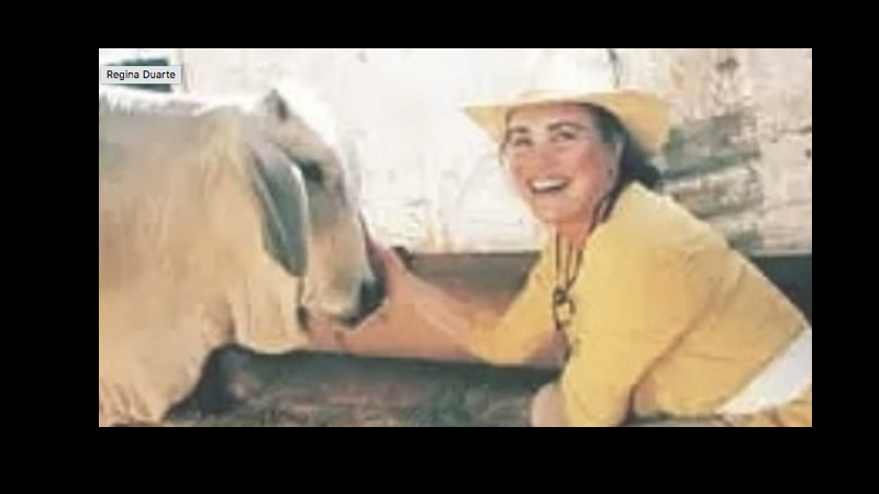 vaca.001