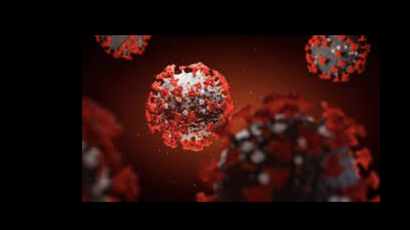 coronavirus.001