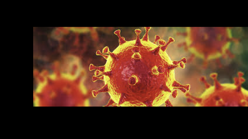virus.001