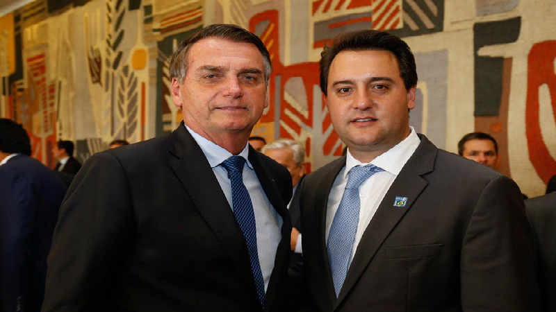 BOLSO E RATO