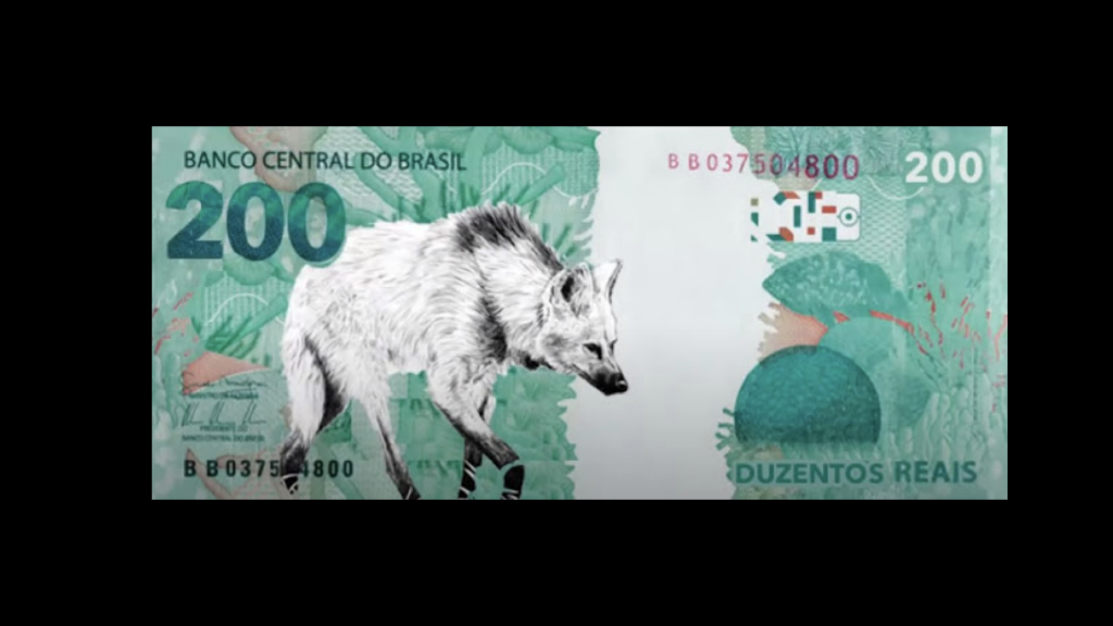 moeda.001