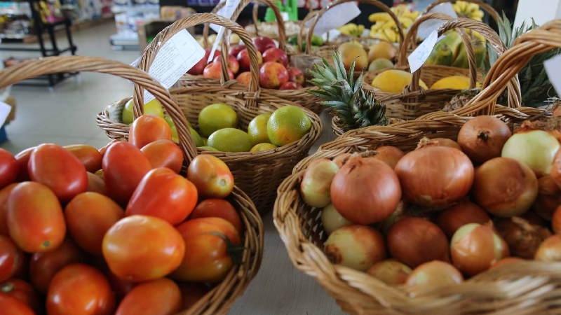 ALIMENTAÇÃO 100
