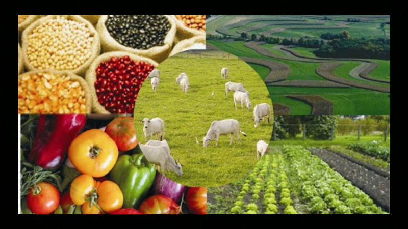agro