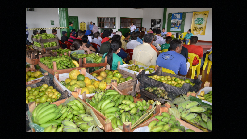 alimentos 2222