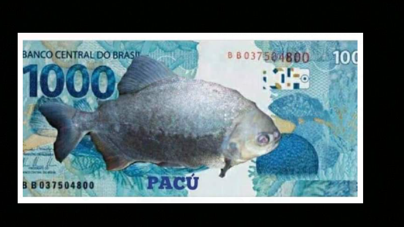 pacu total