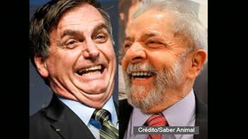 lula bolso