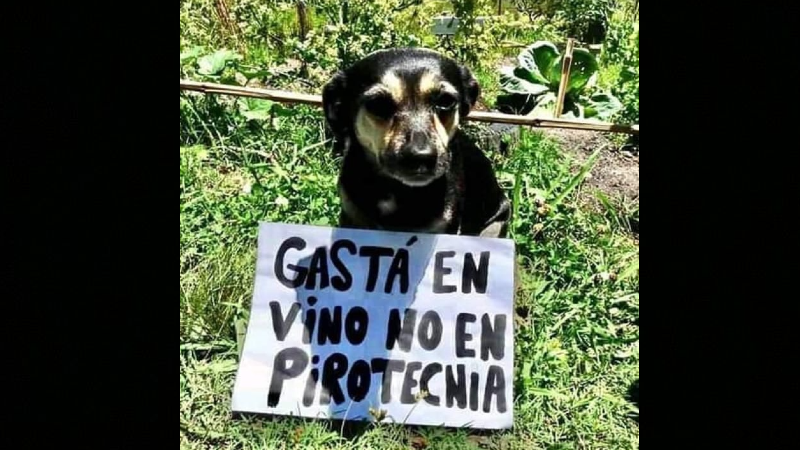 tadeu