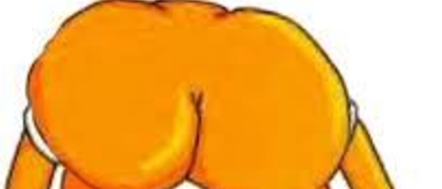 bunda 10