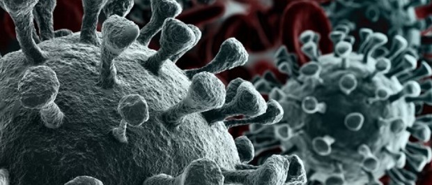 virus 2