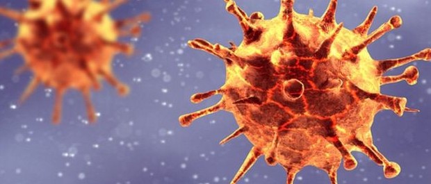 virus 2