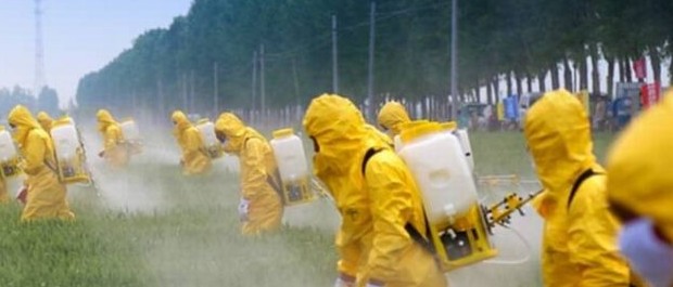 agrotoxico 2