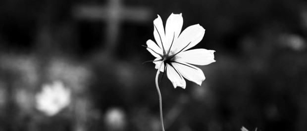 morte (1)