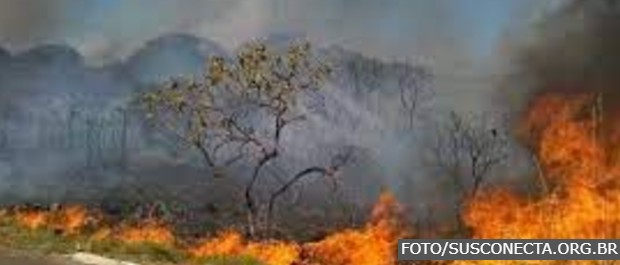 FOGO 2