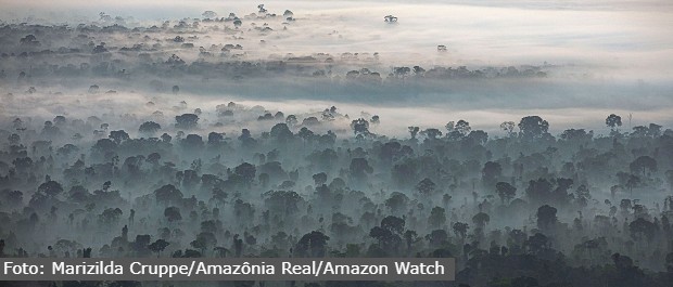 amazonia 2