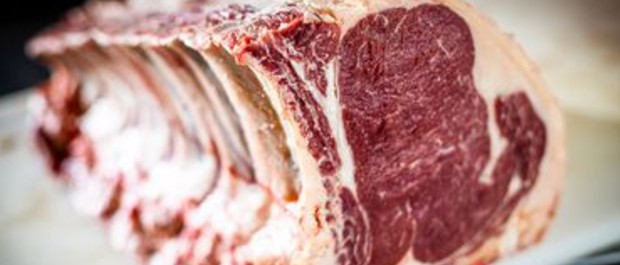 CARNE 2