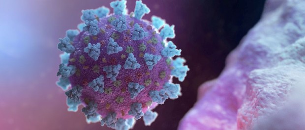VIRUS AbR