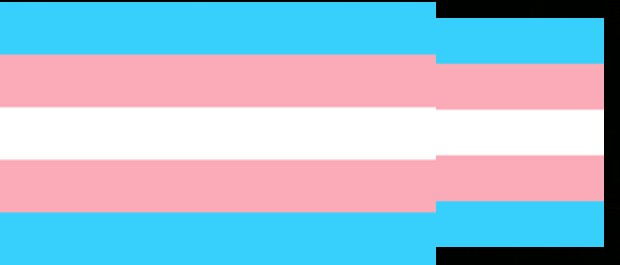 trans 10