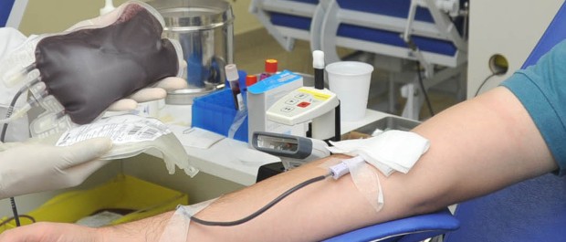 sangue (1)