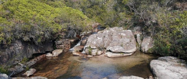 Guartelá