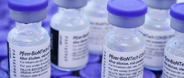 pfizer 2